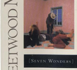 Fleetwood Mac: Seven Wonders