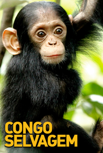 Congo Selvagem - Poster / Capa / Cartaz - Oficial 1