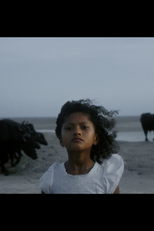 Brasil Impossível (Brasil Impossível)