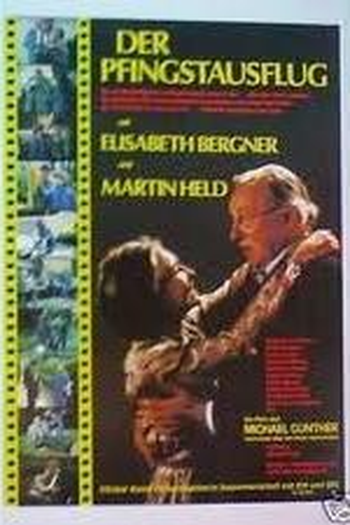 Poster de Filme A Excursão de Pentecostes (1978)