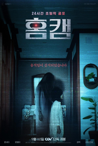 Poster 1 de Filme Homecam (2025)