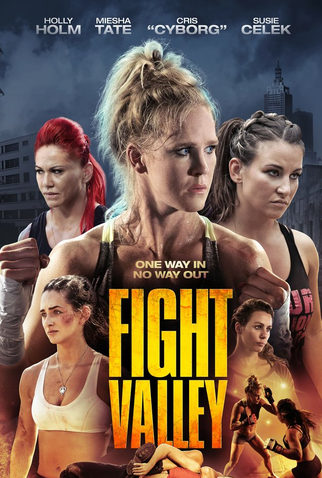 Poster 1 de Filme Vale da Luta (2016)