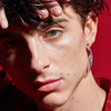 Timothée Chalamet - Foto 4