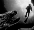 Oklahoma Octopus