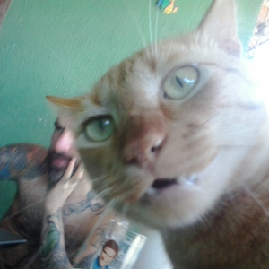 Foto de perfil de Generval