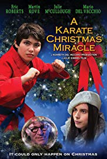 A Karate Christmas Miracle - Poster / Capa / Cartaz - Oficial 1