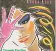 Chaka Khan: Through the Fire