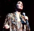 Liza Minnelli in concert