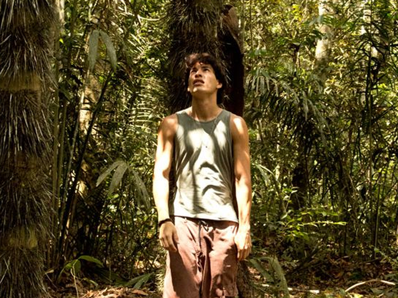 Foto 5 de A Floresta de Jonathas