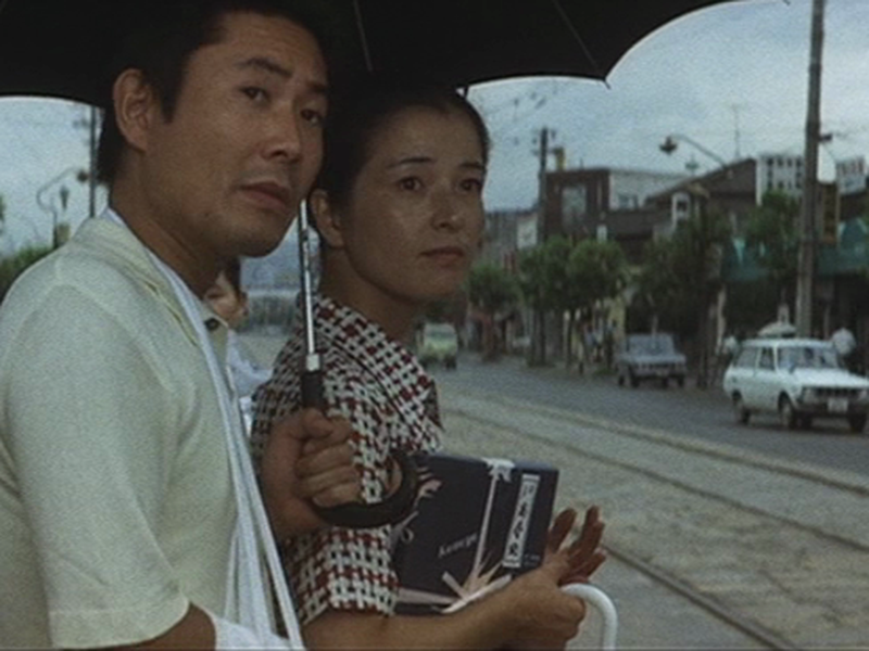 Foto 6 de Terra Natal