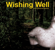 Wishing Well