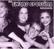 Swans Crossing
