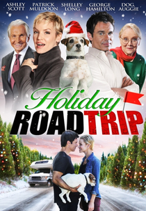 Estrada Para o Amor (Holiday Road Trip)