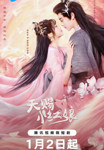 The Little Red Matchmaker (天赐小红娘)