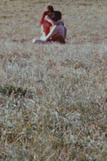 Le cinéma en deux (Le cinéma en deux)