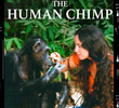Lucy, O Chimpanzé Humano