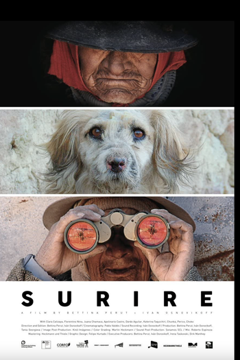 Poster de Filme SURIRE (2015)
