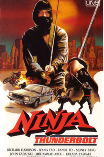 Poster de Filme Ninja Thunderbolt (1985)