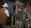 The Horse Traders