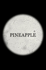 Pineapple (Pineapple)