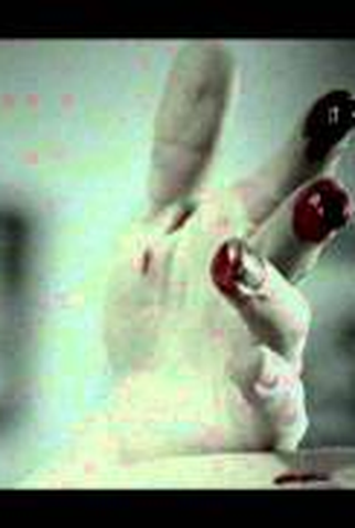 Poster 3 de Curta Gotas (2005)