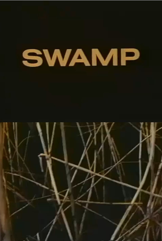 Poster 1 de Curta Swamp (1969)
