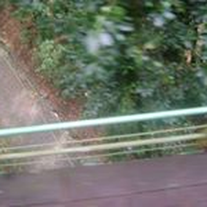 Foto de perfil de Bruno