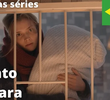 Vento na cara