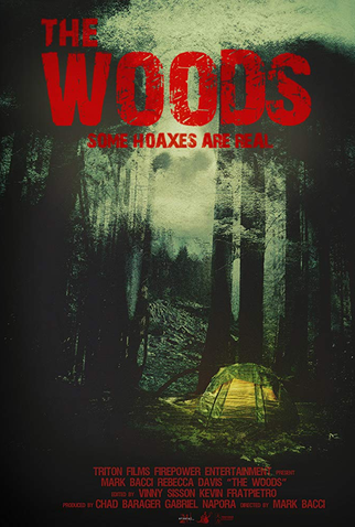Poster 1 de Filme The Woods (2013)