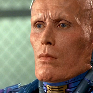 Foto de perfil de Vinicius