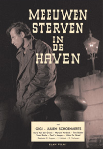 Seagulls die in the harbour (Meeuwen sterven in de haven )