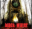 Black Water Wilderness