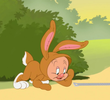 Fudds Bunny