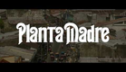 Planta madre, de Gianfranco Quattrini - Trailer