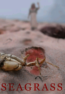 Seagrass (Seagrass)