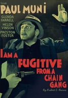 O Fugitivo (I am a Fugitive from a Chain Gang)