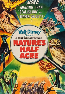 Sinfonia da Primavera (Nature's Half Acre)