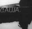Gauja