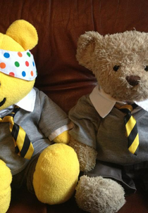 Misery Bear in How Pudsey Got His Bandana (Misery Bear in How Pudsey Got His Bandana)