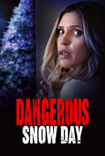 Dangerous Snow Day - Poster / Capa / Cartaz - Oficial 1