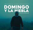 Domingo e a Neblina