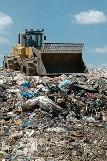  de Curta Recycled Life (2006)