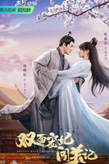 Shuang Mian Chong Fei Chuang Guan Ji (双面宠妃闯关记)
