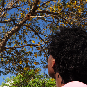 Foto de perfil de Yan