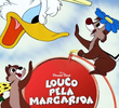 Louco pela Margarida