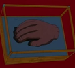 Gorilla's Paw