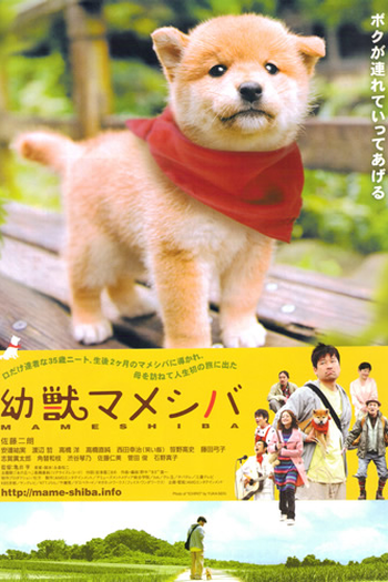 Poster de Filme Mameshiba (2009)