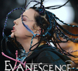 Evanescence Rock Am Ring 2004