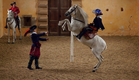 Almonso the ballet dancing pony - Lucy Worsley's Reins of Power: Preview - BBC Four
