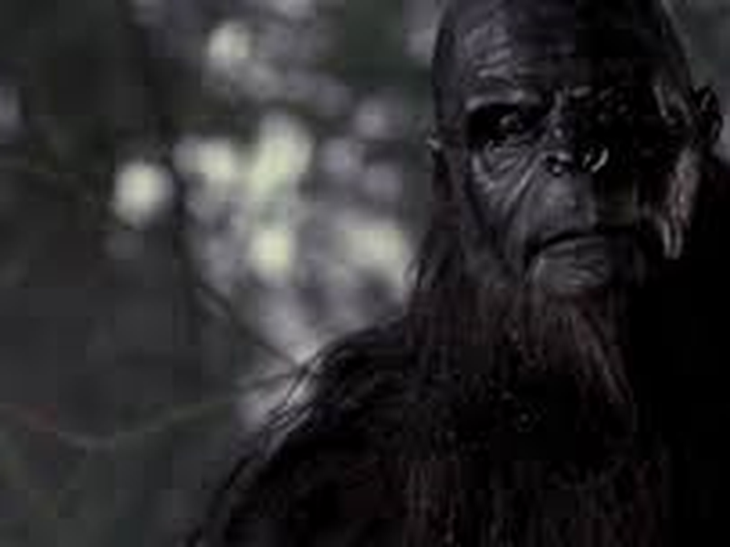 Foto 1 de Sasquatch: O Abominável
